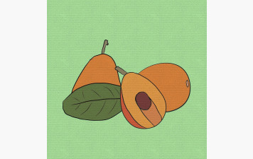 Collecte Banque Alimentaire