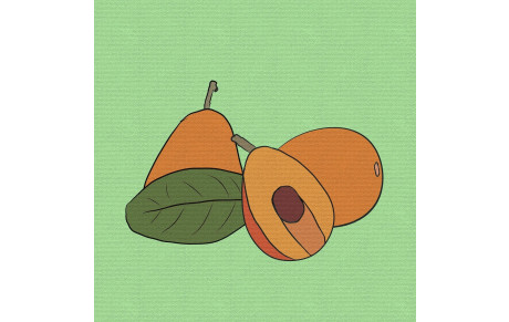 Collecte Banque Alimentaire